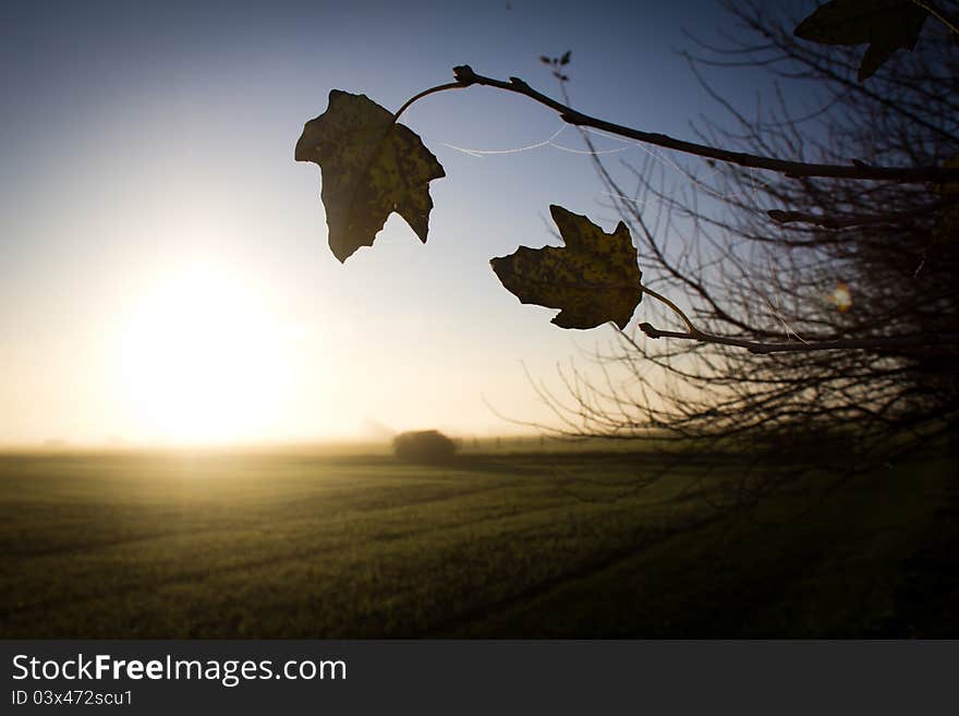 Last Of Autumn