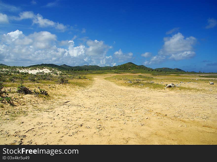 National Park in Bonaire, caribbean