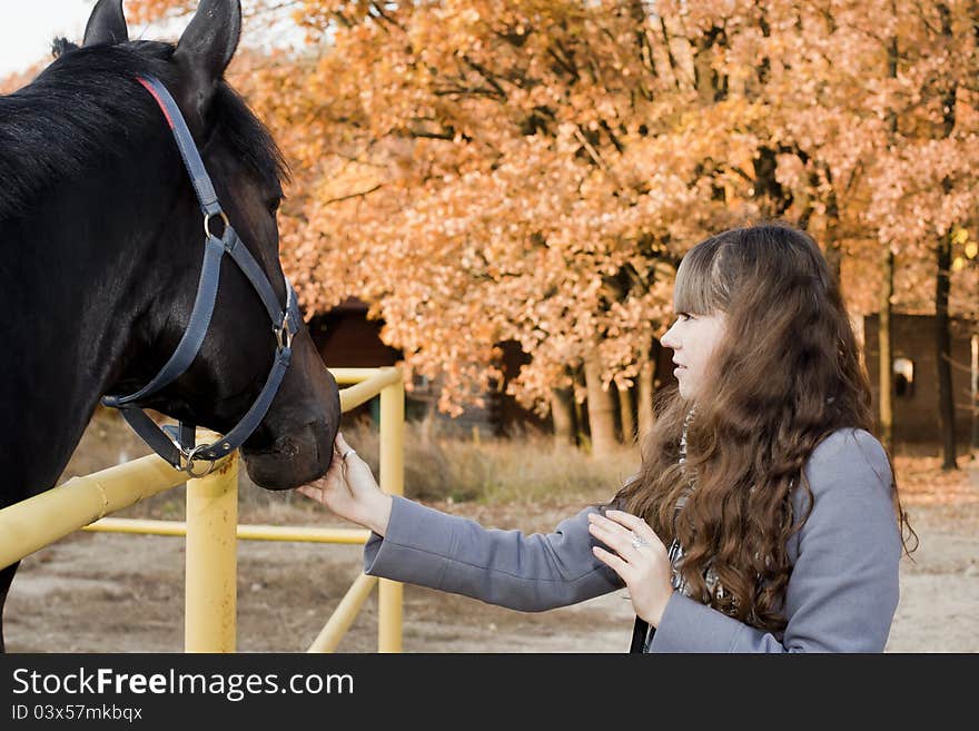 Young brunet girl playing with horse. Young brunet girl playing with horse