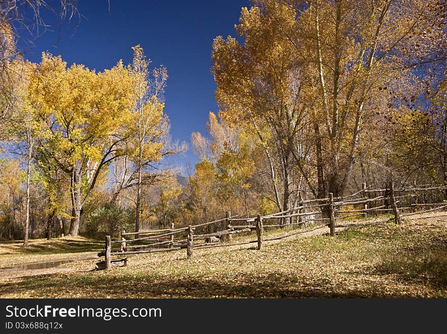 New Mexico Autumn