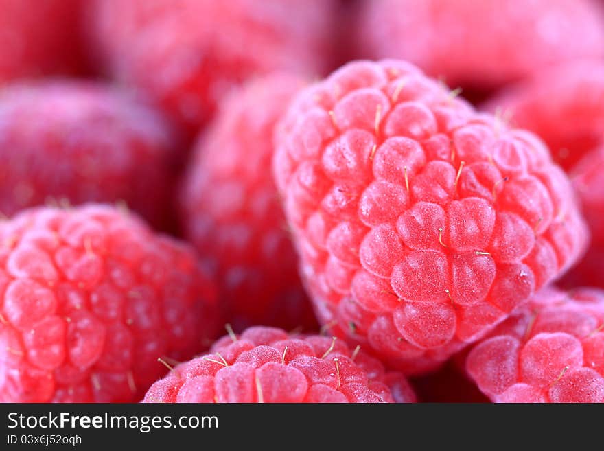 Closeup photo of sweet Raspberry