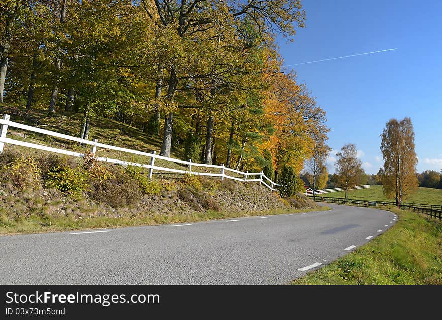 Road's turn in autumn colors. Road's turn in autumn colors