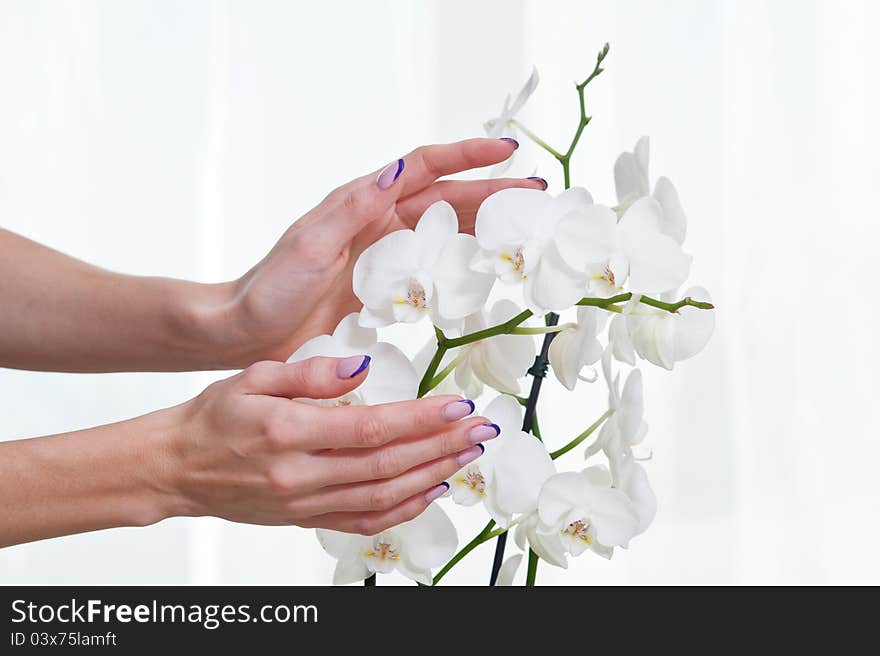 Manicure And Orchid