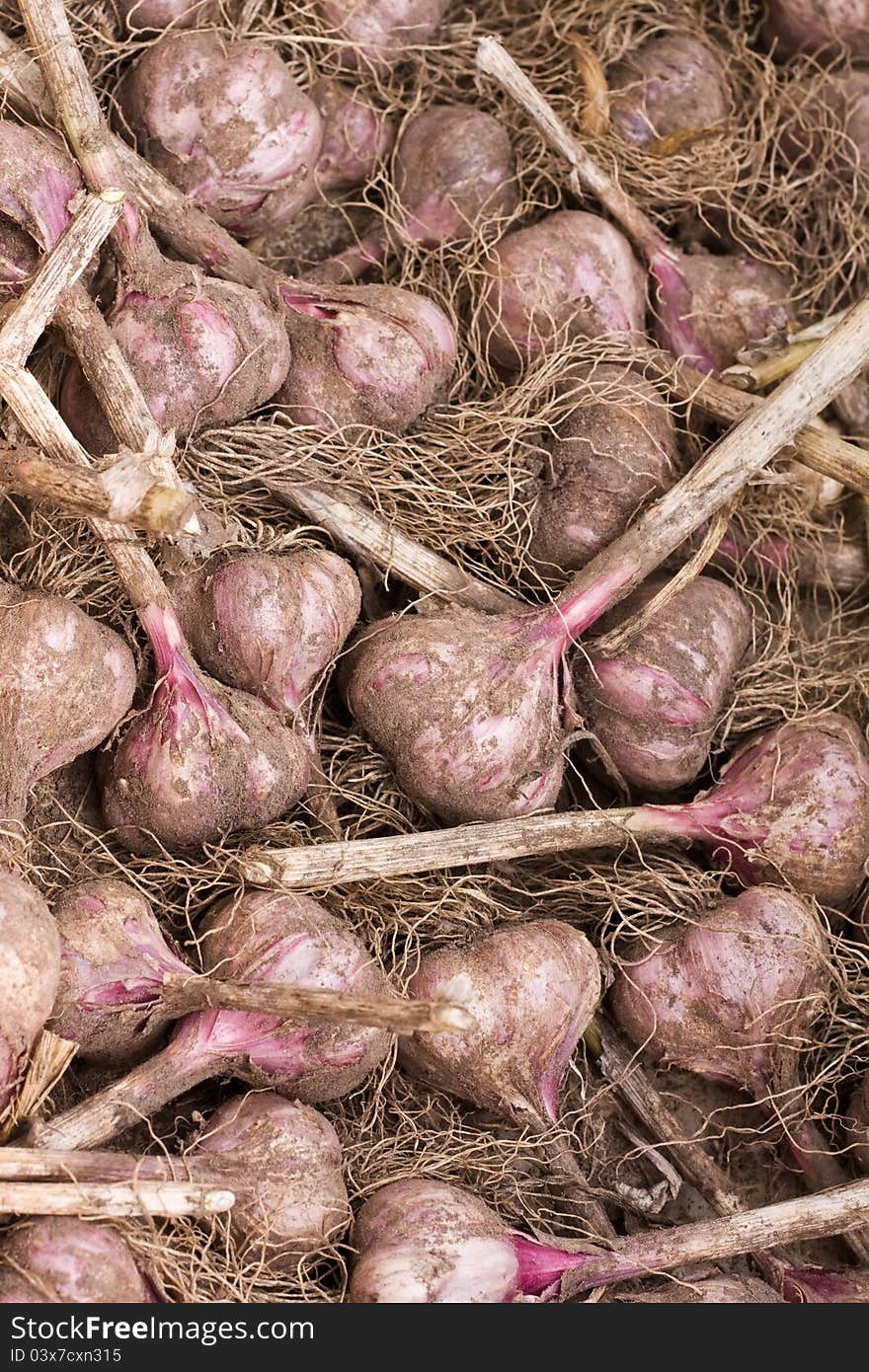 Garlic background