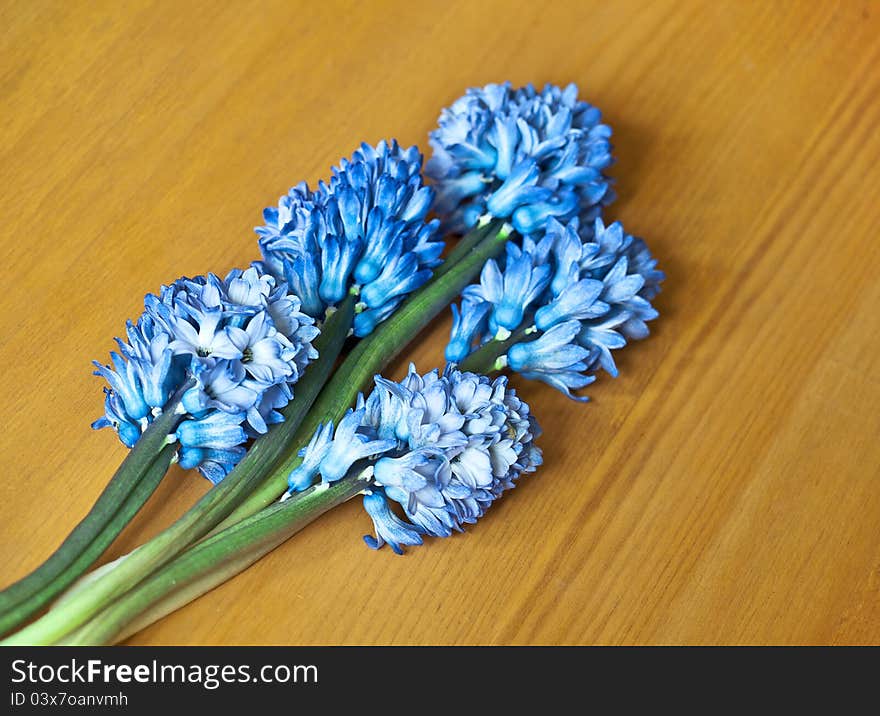 Hyacinths bouquet on wooden surface. Hyacinths bouquet on wooden surface