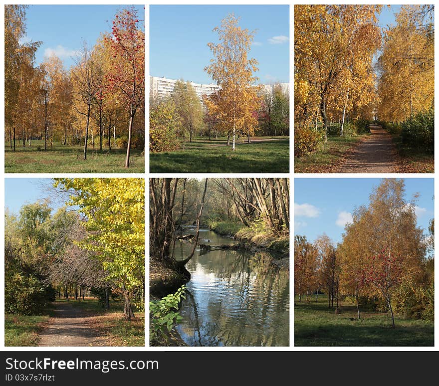 Collage of autumn city park views. Collage of autumn city park views.