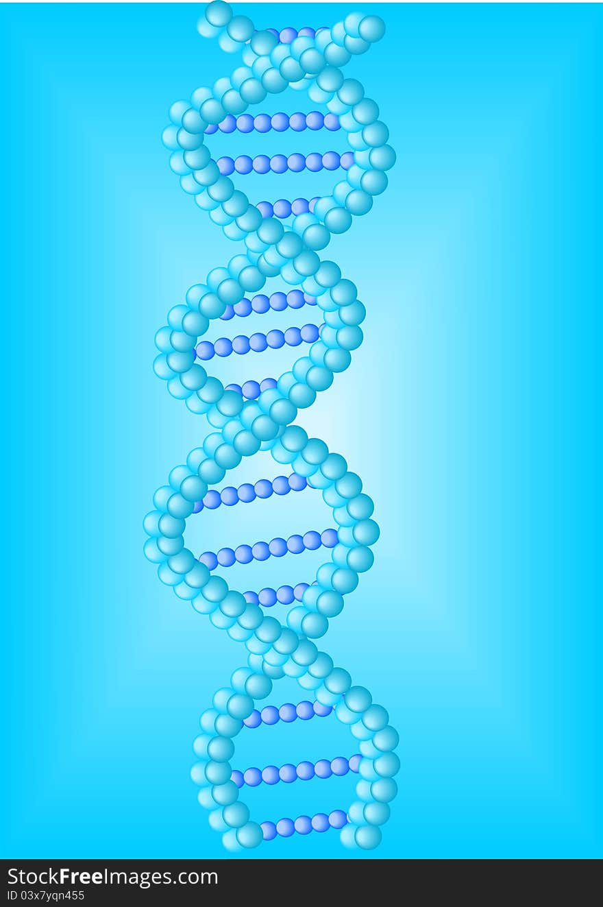 DNA Helix