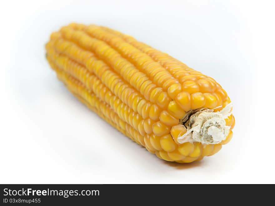 Corn