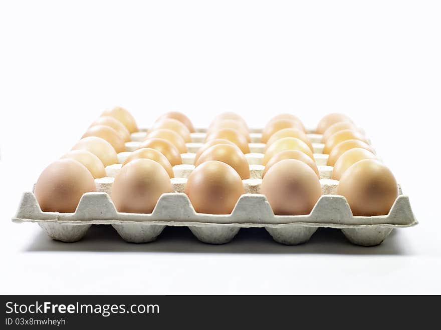 A tray of fresh egg. A tray of fresh egg