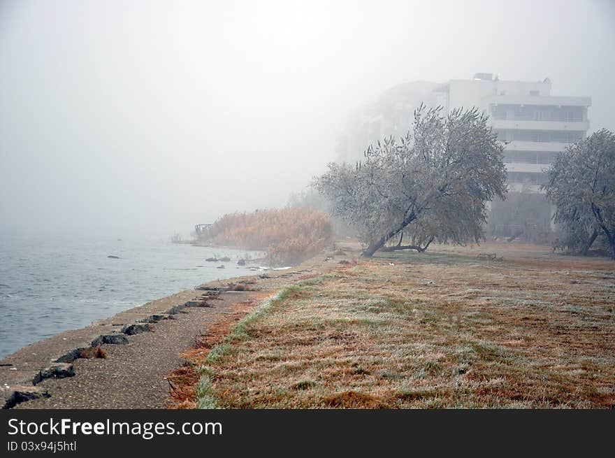 Fog on sea near hotel in a winter day