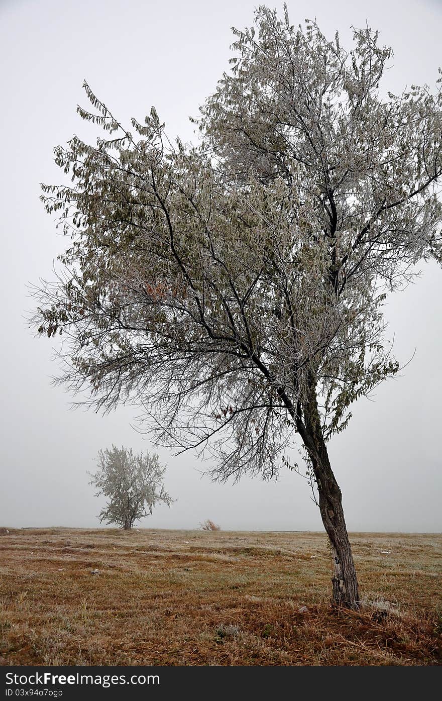 Fog On Hills In A Winter Day