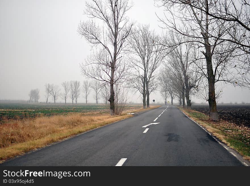 Curved road in foggy autumn morning