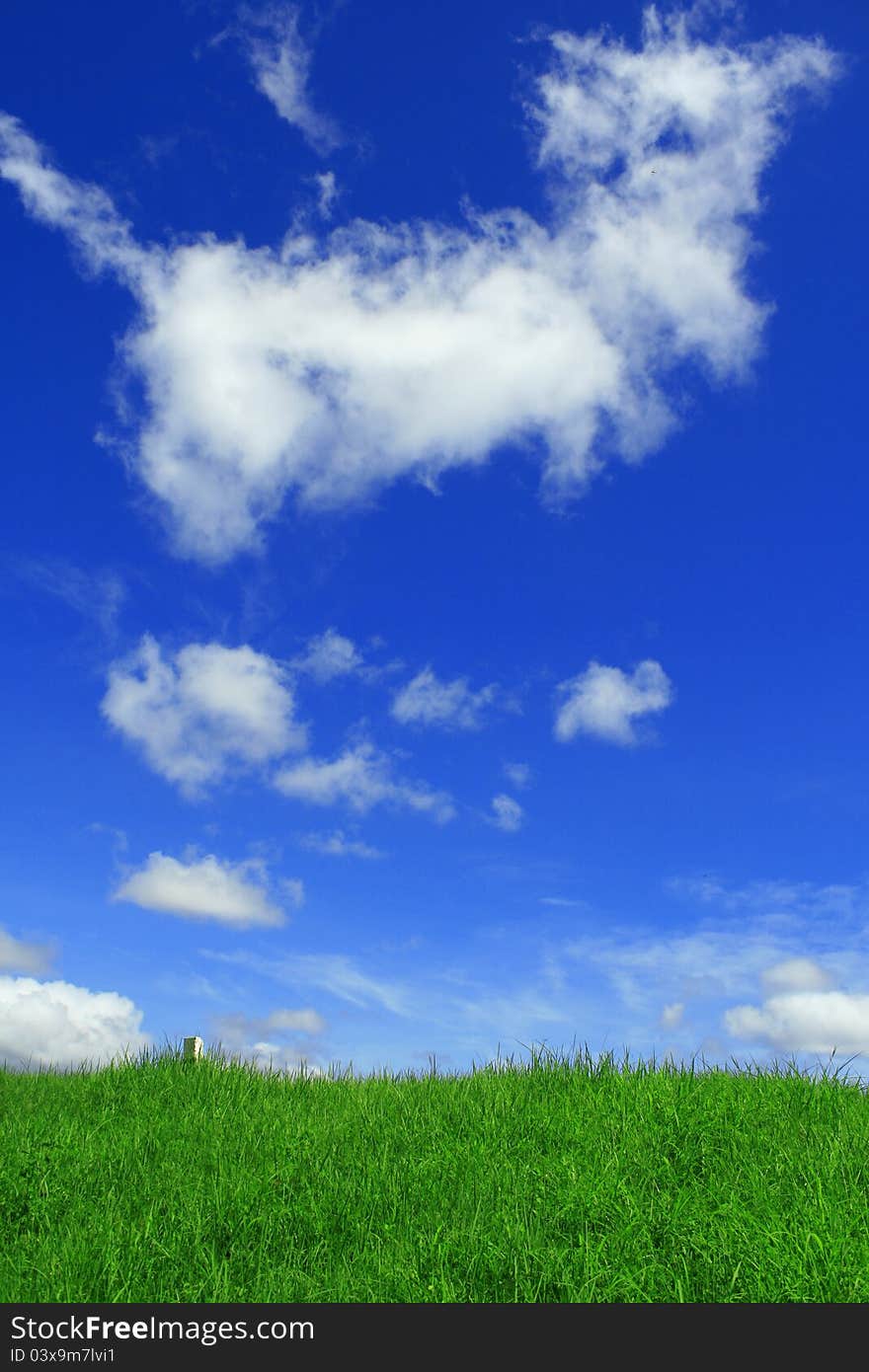 Bright blue and grass green.