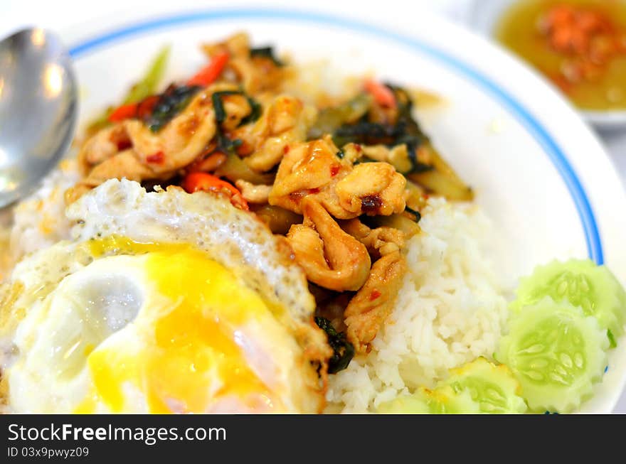 Thai food Rice and basil. Thai food, chicken ,eggs fried with chilli pepper and sweet basil. Thai food Rice and basil. Thai food, chicken ,eggs fried with chilli pepper and sweet basil.