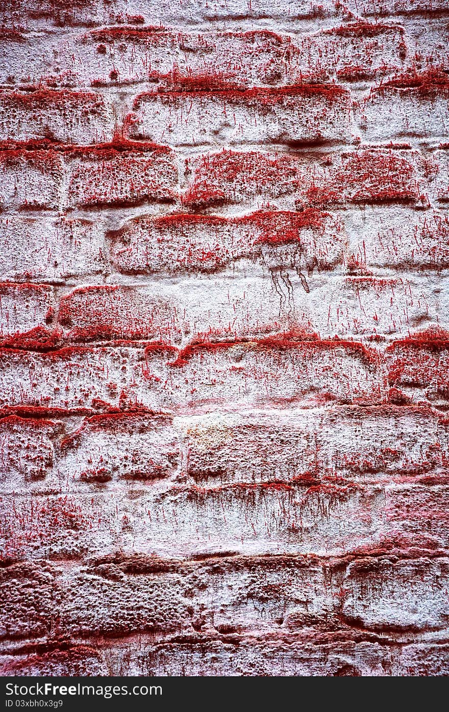 Background in style grunge. Wall in a red mouldy