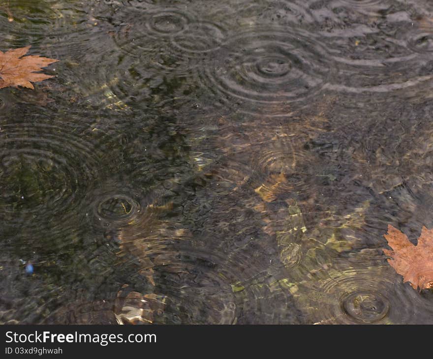 Rain Droplets On Pond