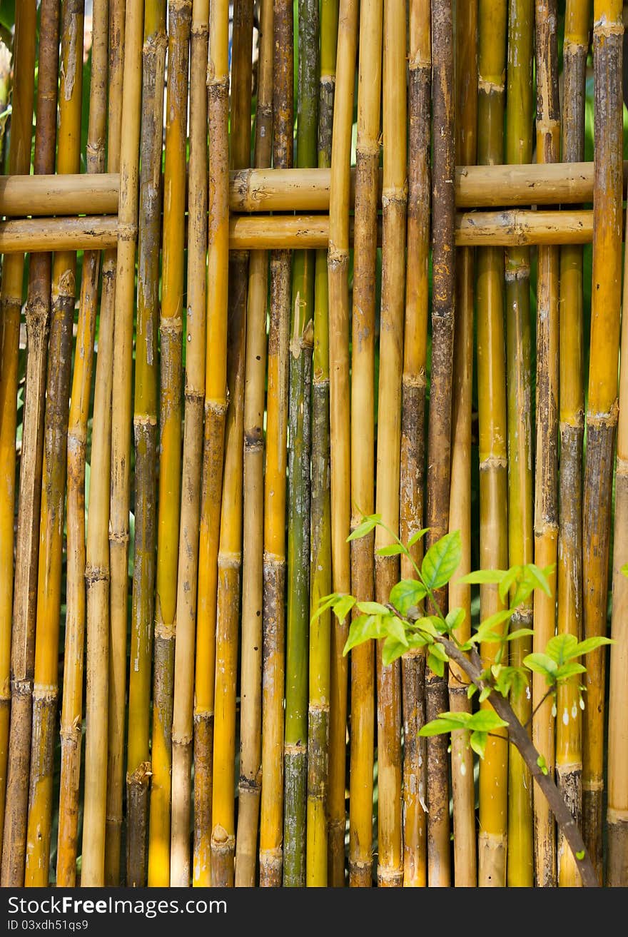 Bamboo fence for demarcation and decorations.