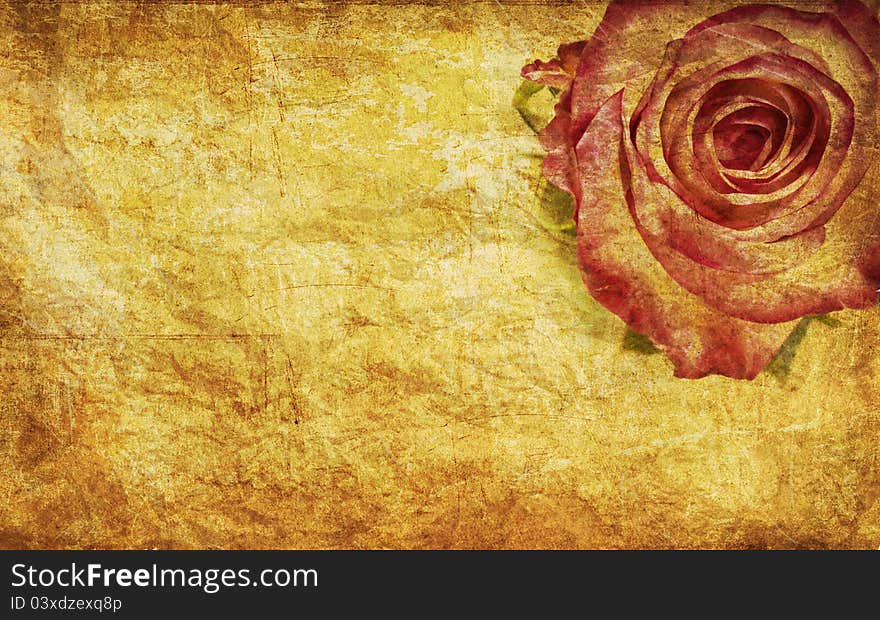 Textured rose on old paper grunge background