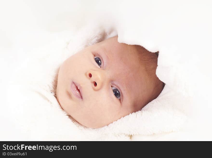 Closeup image of a cute newborn male baby with his eyes wide open looking straight into the camera. Closeup image of a cute newborn male baby with his eyes wide open looking straight into the camera