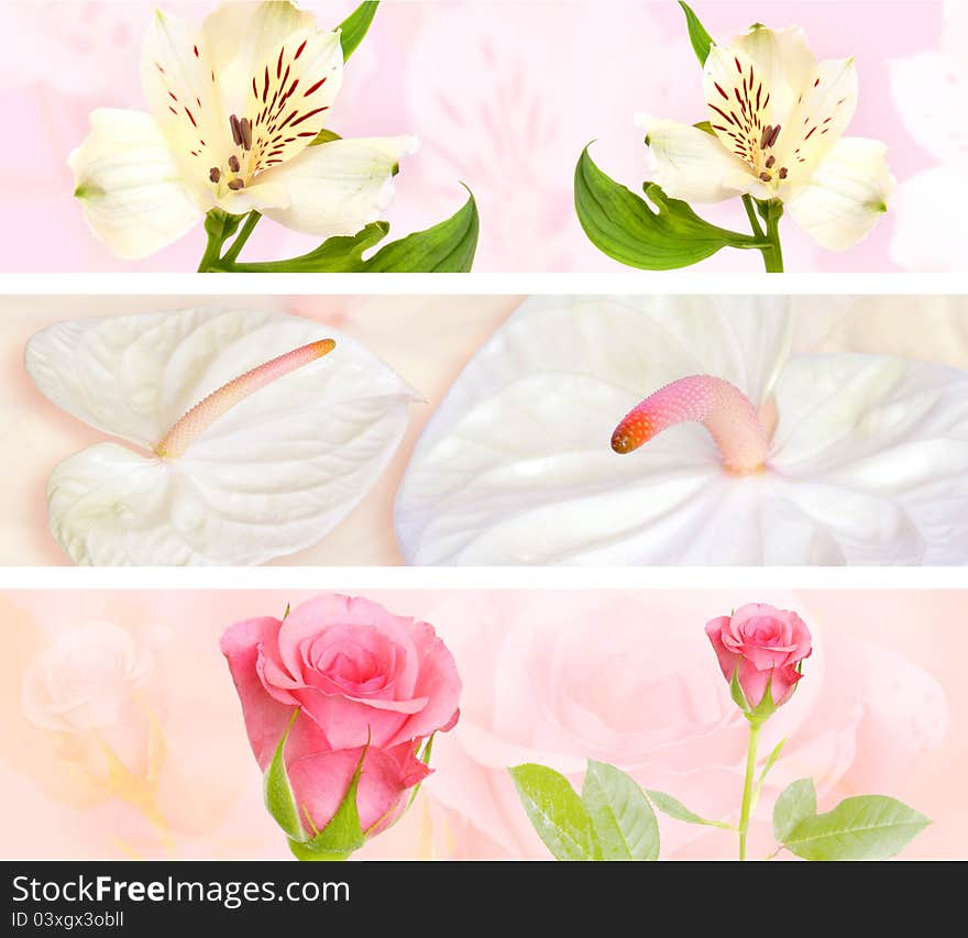 Decorative flower banner