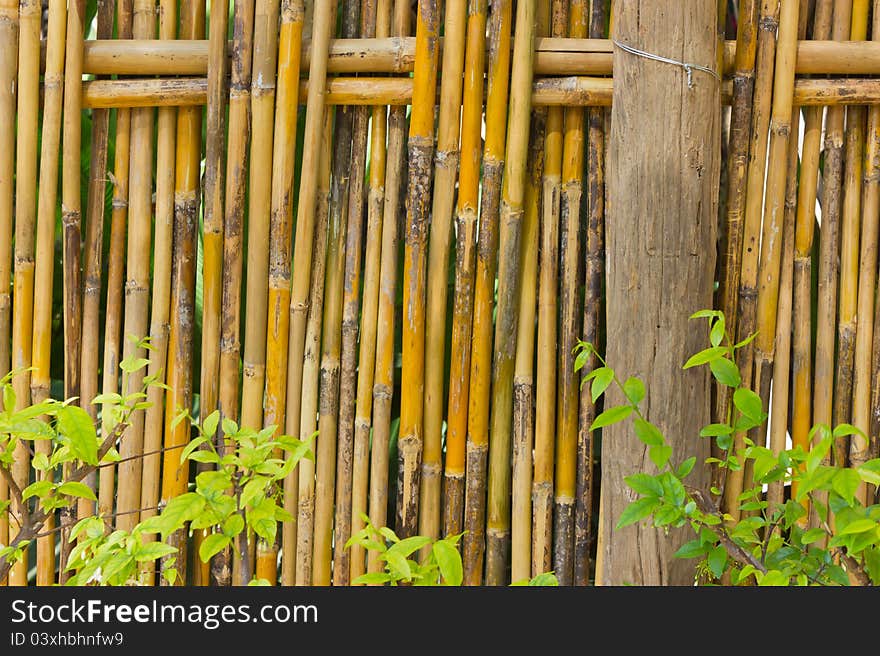 Bamboo fence for demarcation and decorations.