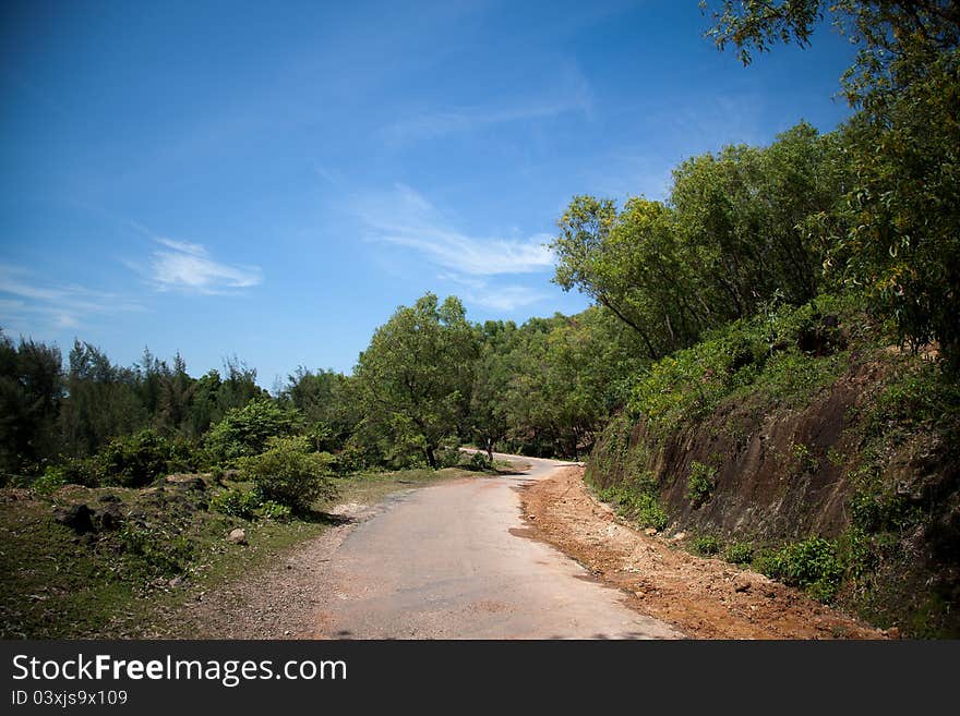 Beautiful view of  road side trees  in forest under blue sky. Beautiful view of  road side trees  in forest under blue sky