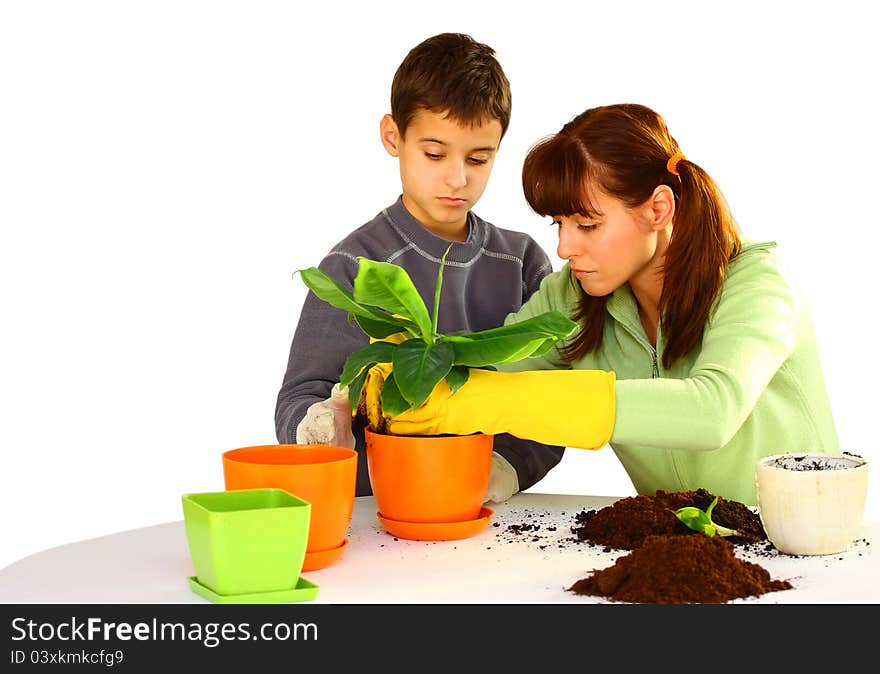 Mother and her son (boy, kid) planting a green flower  isolated on a white background with different color flowerpots