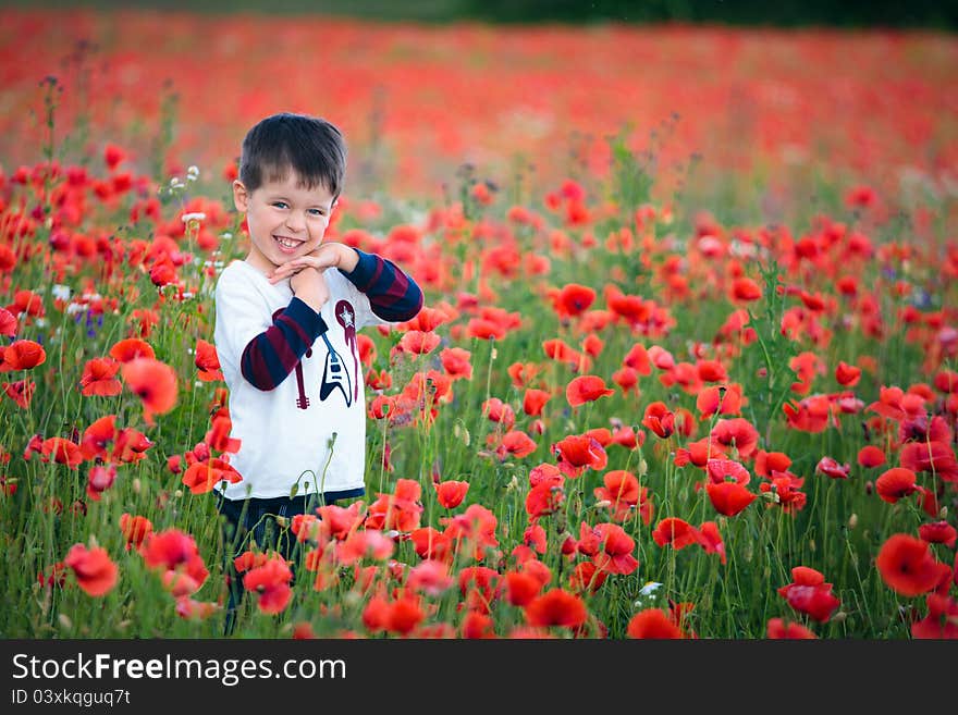 Cute boy in polands poppies. Cute boy in polands poppies