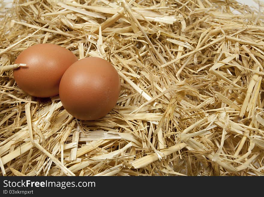 Freshly laid eggs at a poultry farm. Freshly laid eggs at a poultry farm