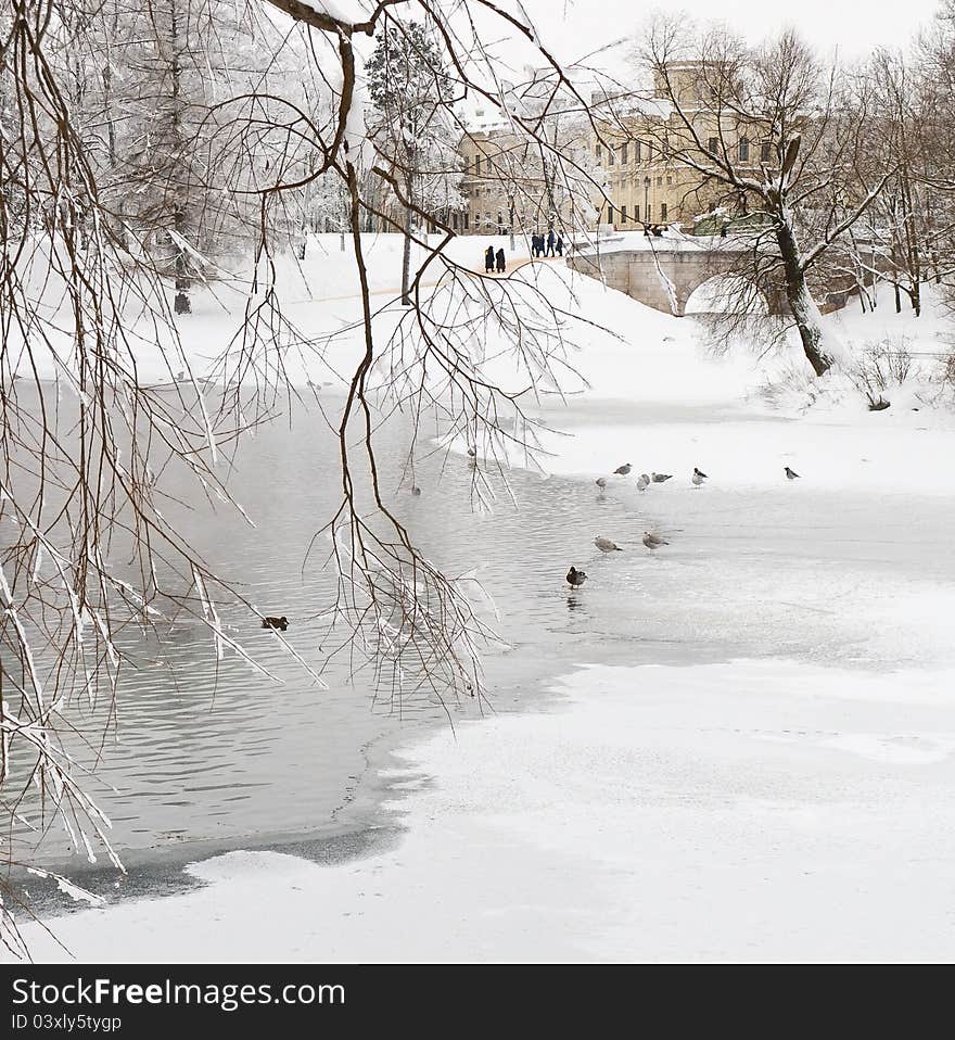 Palace and park in Gatchina, St.-Petersburg region. Russia. Palace and park in Gatchina, St.-Petersburg region. Russia