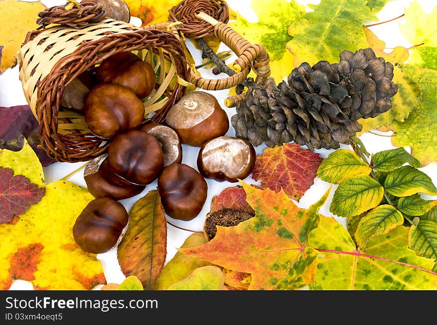 The background of the colorful autumn leaves, cones, chestnuts in a wicker vase.