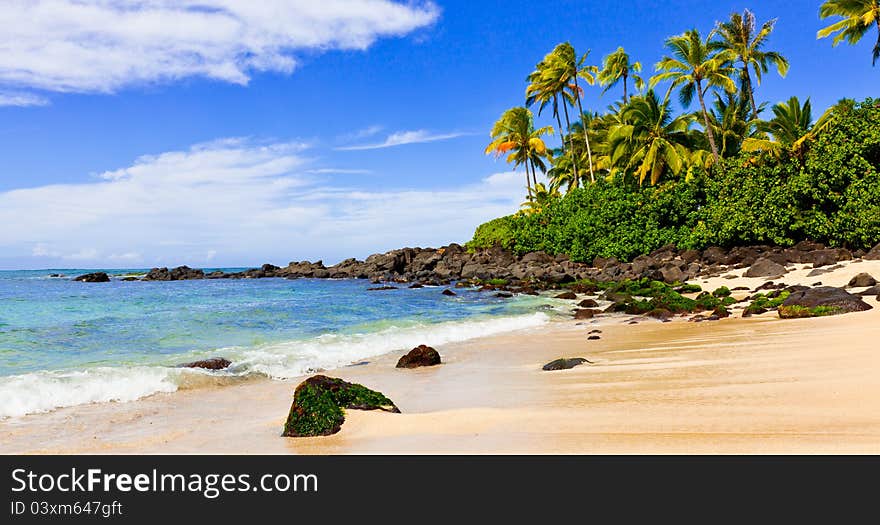 Tropical Beach With Palm Trees and rocks. Tropical Beach With Palm Trees and rocks