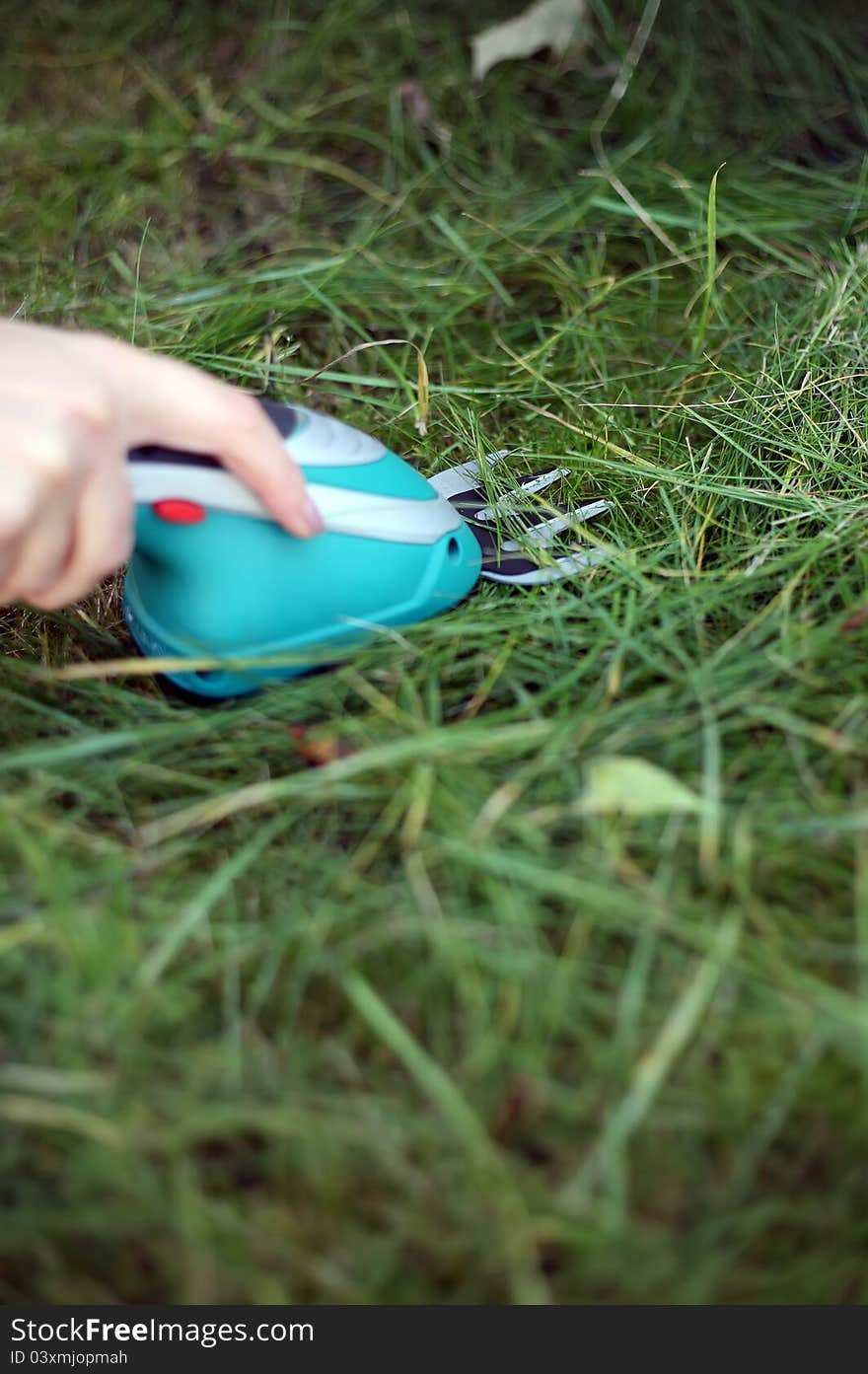 Cutting grass on home garden. Cutting grass on home garden.