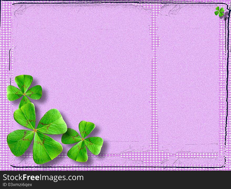 Four-leaved Clover Postcard