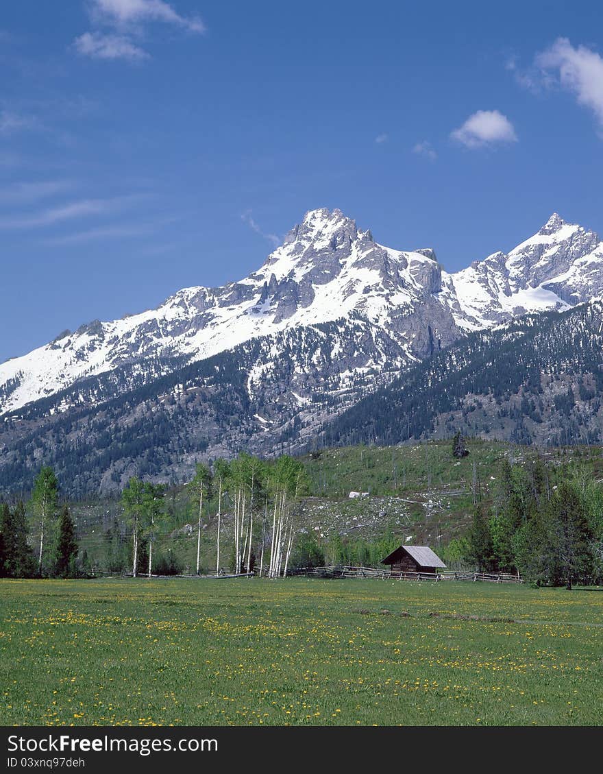 View of horse paddock with snow covered mountains in the background. View of horse paddock with snow covered mountains in the background.