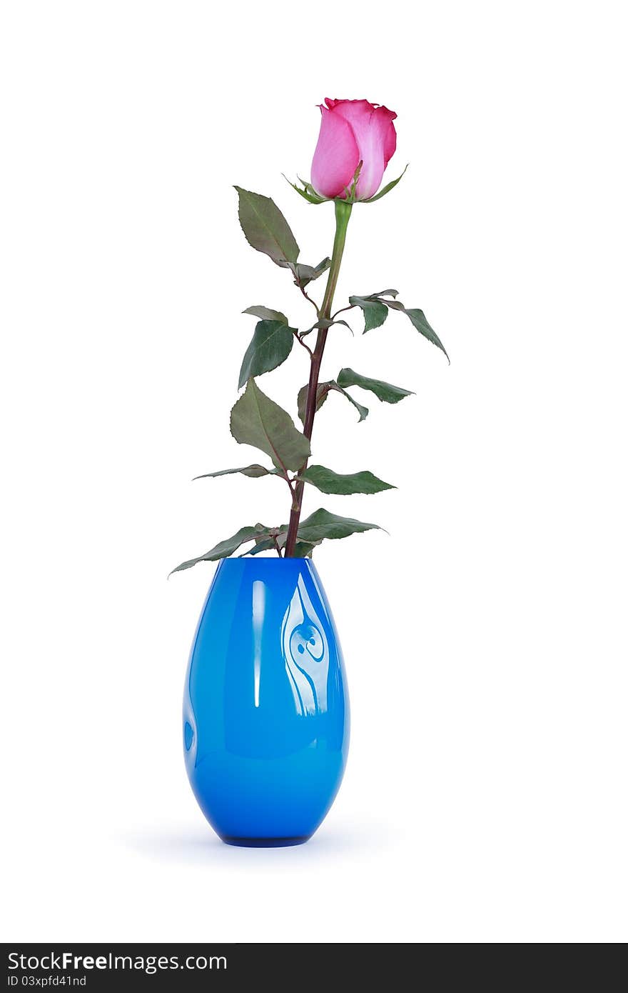 Red rose with leaves in nice blue glass vase.  on white with clipping path. Red rose with leaves in nice blue glass vase.  on white with clipping path