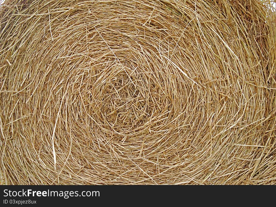 Straw in the farm for sheep