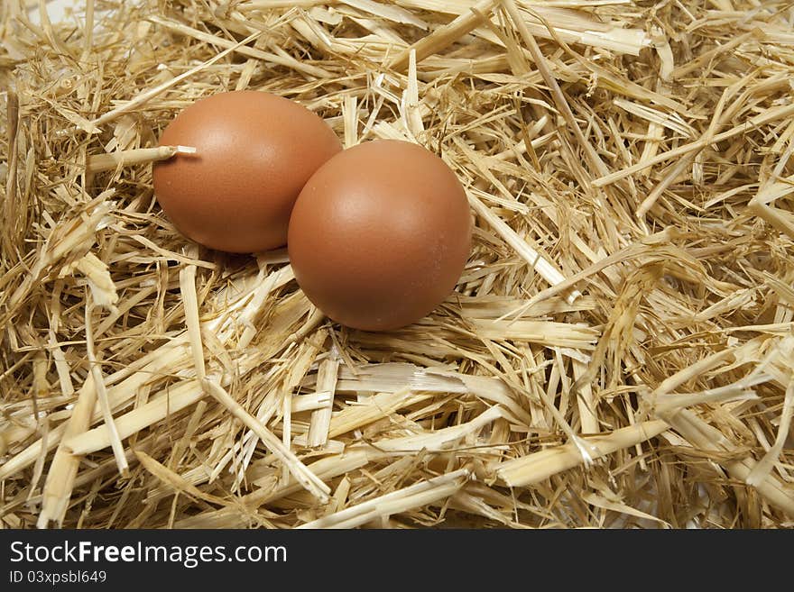 Freshly laid eggs at a poultry farm. Freshly laid eggs at a poultry farm