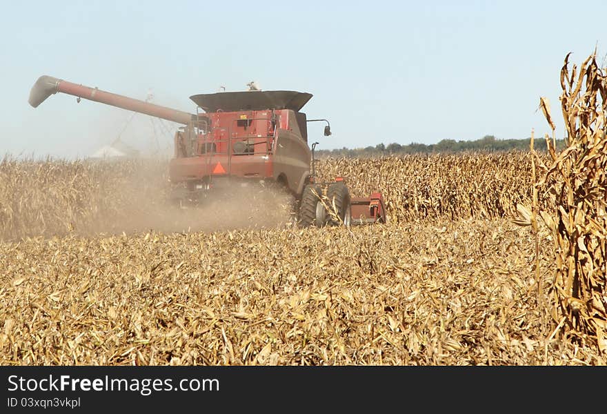 Harvesting a Corn Field