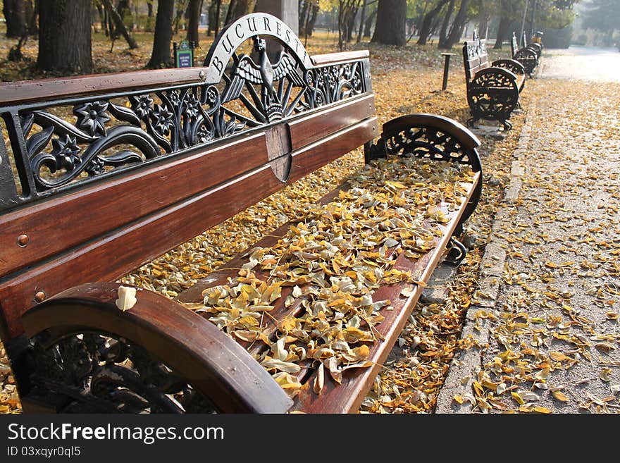 bench in the park with dried leaves. bench in the park with dried leaves