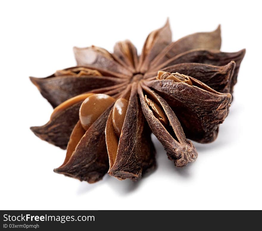 Dried anisetree spice over white background with shadow