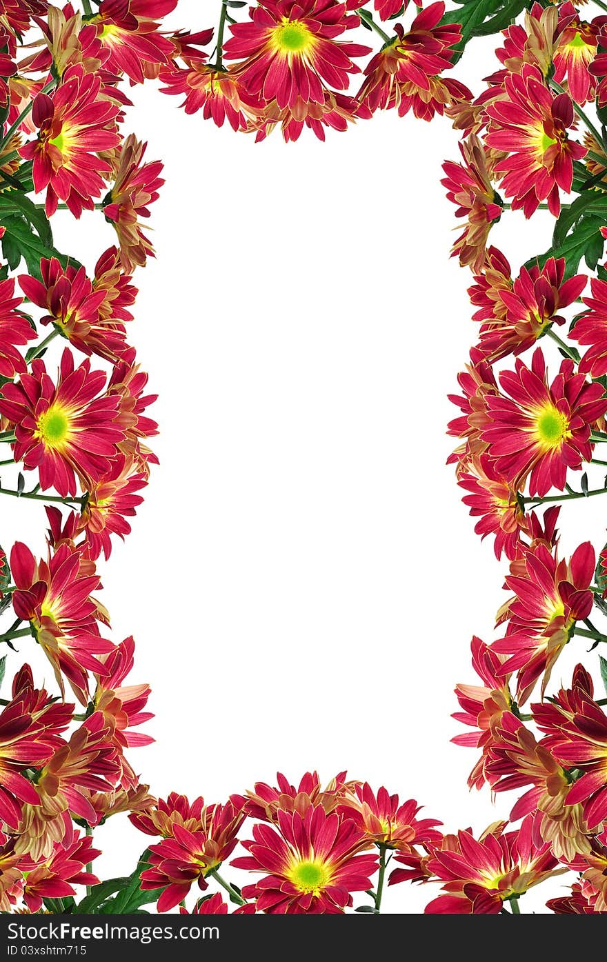 Flowers frame