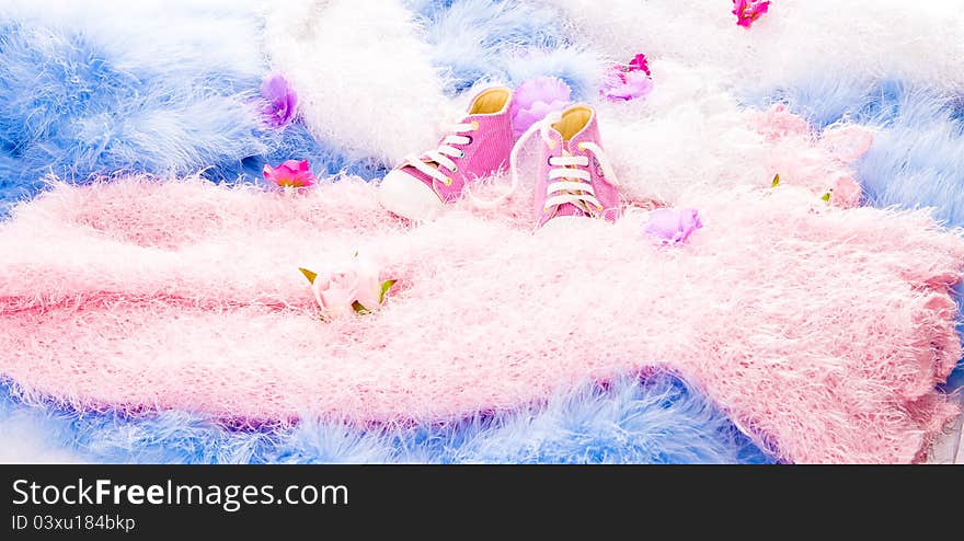 In multi-colored furry coatings are flowers and Baby Shoes