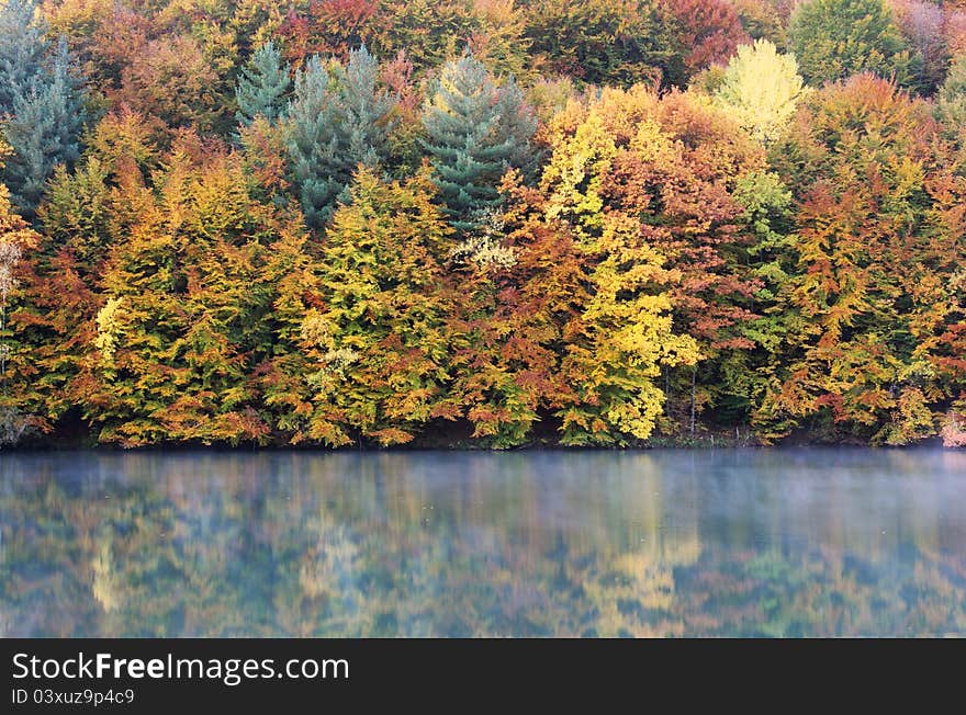 Morning reflection of an autumnal forest