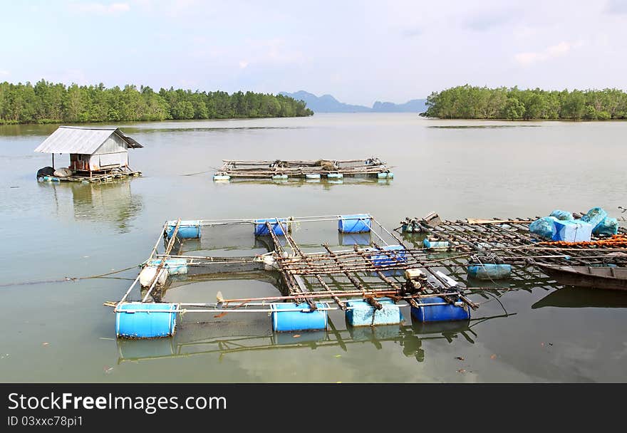 Coop at phangnga province thailand