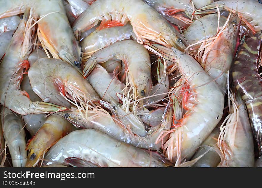 Fresh Shrimp in the market