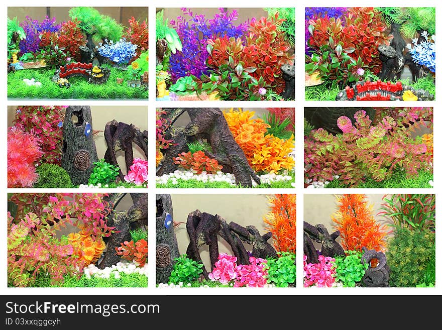 Aquarium Collage