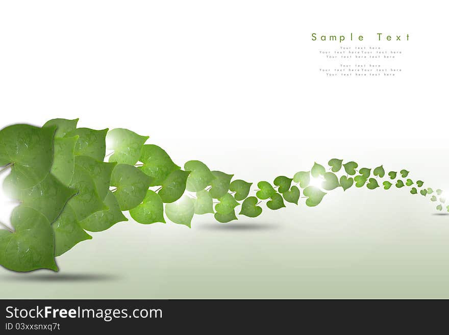 Background material image of leaf