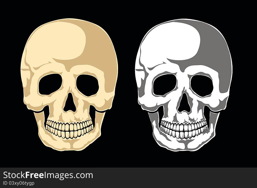 Human skull on black. Separate layers. Human skull on black. Separate layers