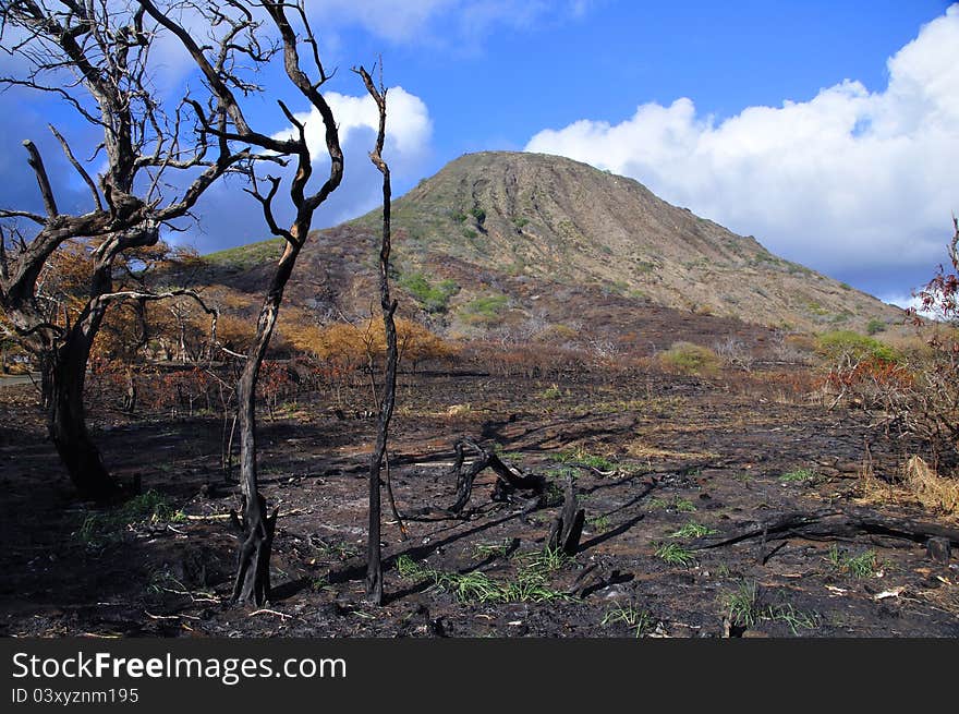 Koko Crater